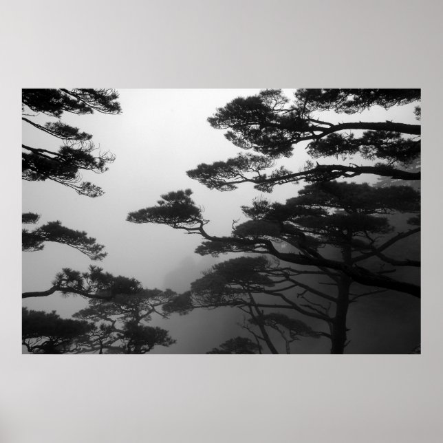 Poster Les arbres mystiques - Imprimer (Devant)