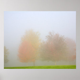 Poster Les arbres tombants noyés dans la brume