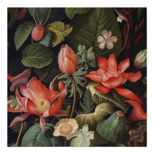 Poster Les botaniques dans la jungle