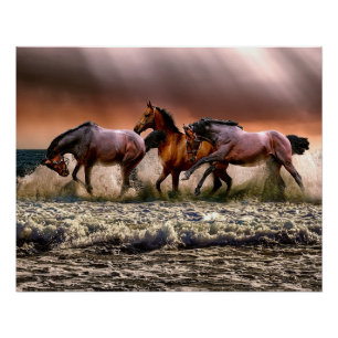 Poster Les chevaux à la plage