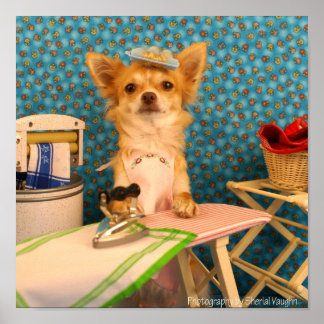 Poster Les chiens font du fer