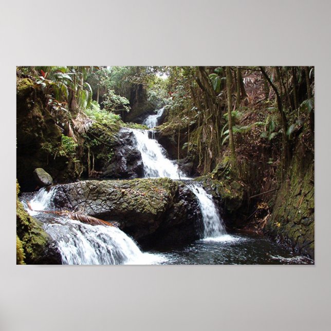 Poster Les chutes d'Hawaiin (Devant)