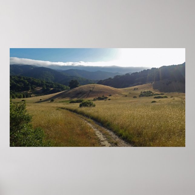 Poster Les collines d'Ignacio (Devant)