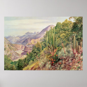 Poster Les courants de Languenas dans le Cordellera,