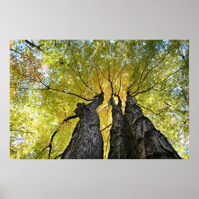 Poster Les dames dansent (Devant)