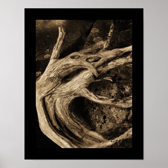 Poster Les Danseurs (Devant)