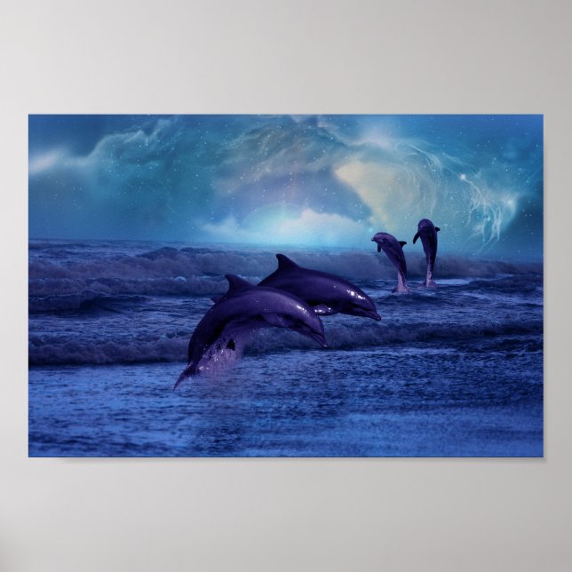 Poster Les dauphins s'amusent et jouent (Devant)