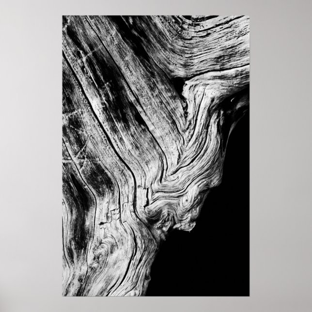 Poster les étoiles le disent ainsi (Devant)