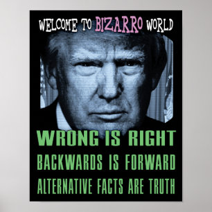 Poster Les faits alternatifs sont la vérité - Anti Donald