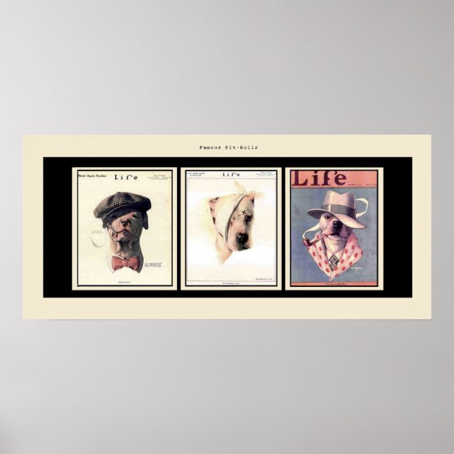 Poster Les fameux puces (Devant)