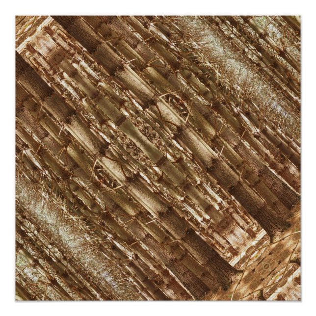 Poster Les grands arbres (Devant)