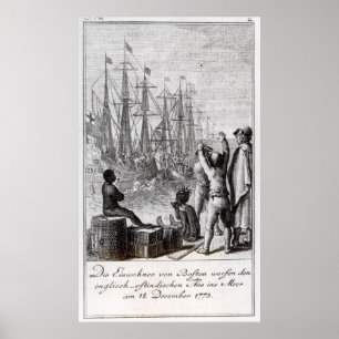 Poster Les habitants de Boston Throw