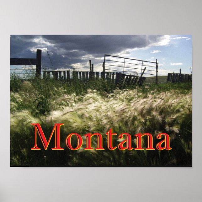 Poster Les herbes des Prairies du Montana Imprimer sur me (Devant)