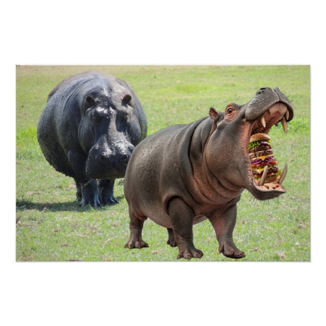 Poster Les hippopotames aiment les burgers. (Devant)