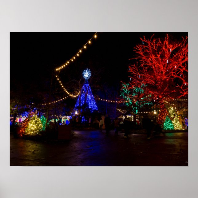 Poster Les lumières de Noël Galore (Devant)