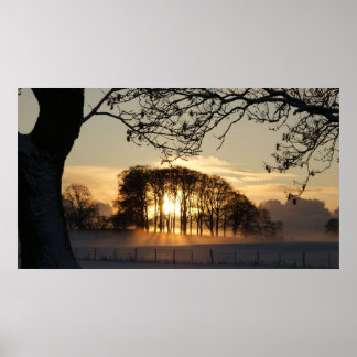 Poster Les merveilles hivernales