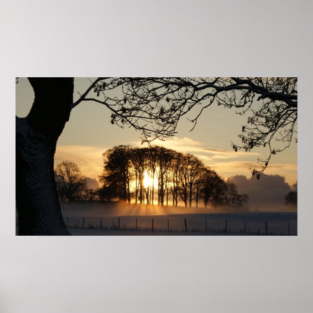 Poster Les merveilles hivernales (Devant)