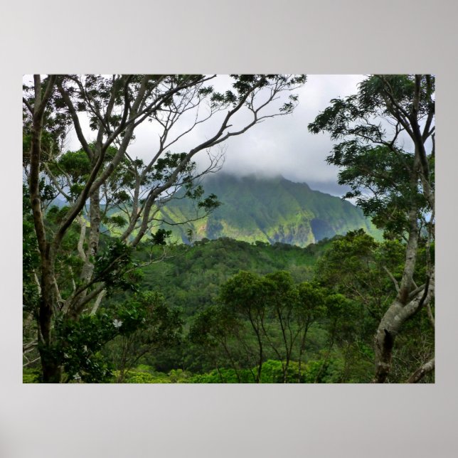 Poster Les monts Koolau (Devant)
