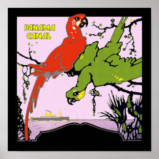 Poster Les perroquets du canal de Panama