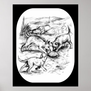 Poster Les petits coyotes