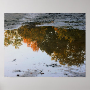 Poster Les Réflexions D'Automne Dans Une Nature Pénible