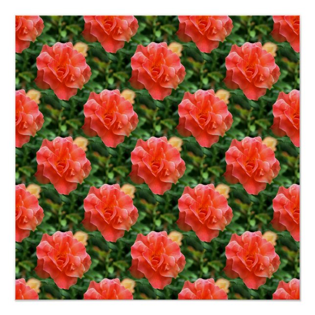 Poster Les roses sont rouges... (Devant)