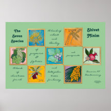 Les Sept Espèces ou Shivat Minim