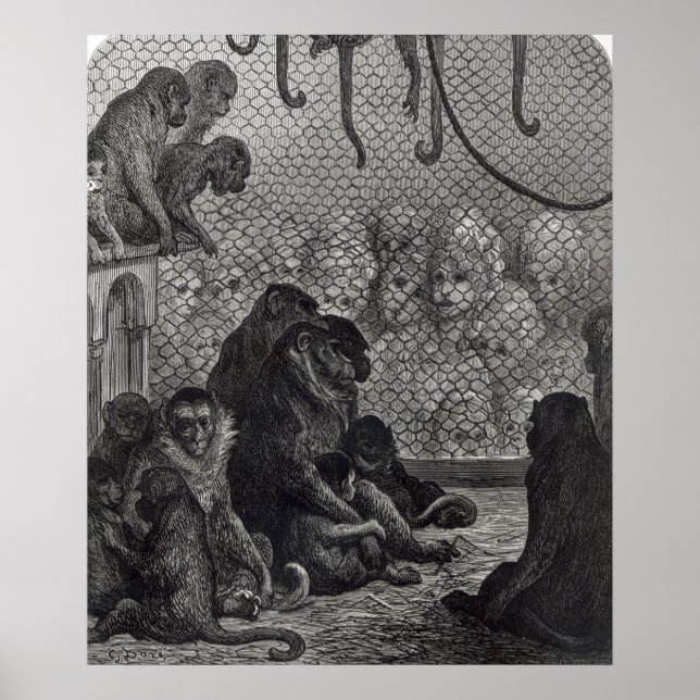 Poster Les singes de Londres (Devant)