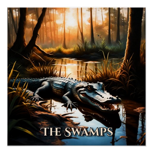 Poster Les Swamps (Devant)