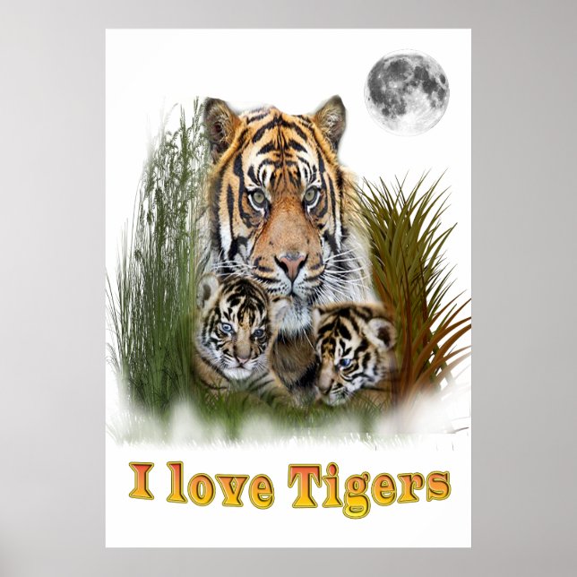Poster Les Tigres de l'amour (Devant)