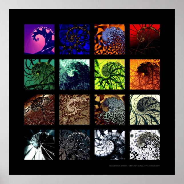 Poster Les variations spirales (Devant)