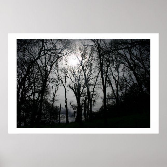 Poster Les veines de la nature (Devant)