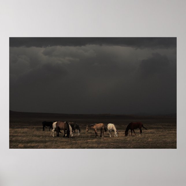 Poster Les Voyageurs De La Tempête (Devant)