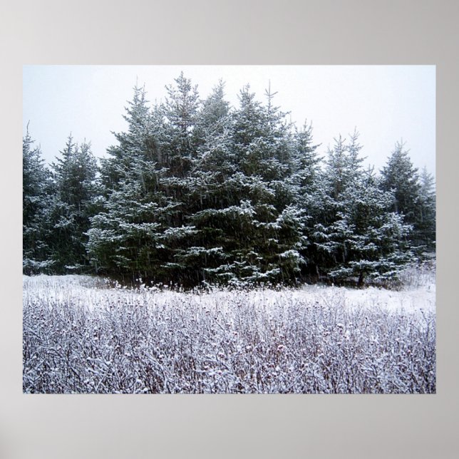 Poster Let It Snow (Devant)