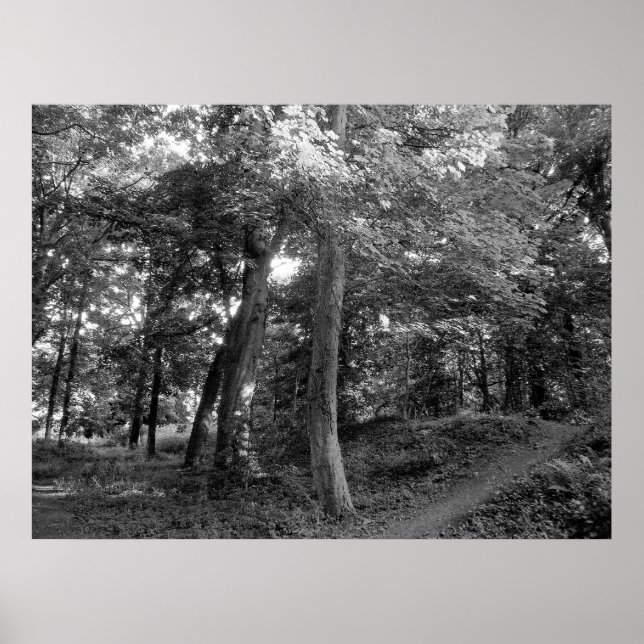 Poster L'été dans le bois (Devant)