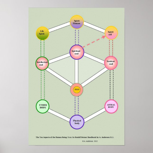 Poster L'être humain dix (Devant)