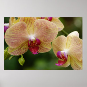 Poster Let's stay together