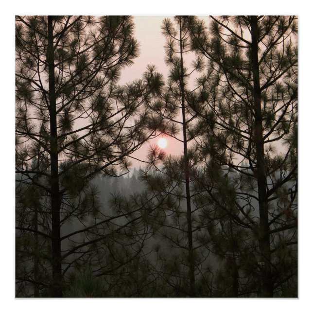 Poster Lever de soleil enfumé de l'incendie de Carr 2018. (Devant)