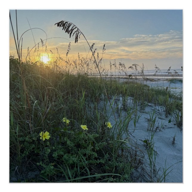 Poster Lever de soleil sur les dunes de la plage (Devant)