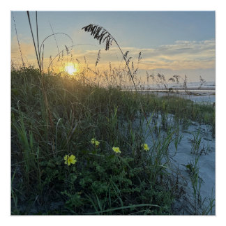 Poster Lever de soleil sur les dunes de la plage