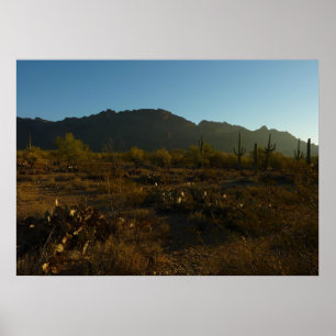 Poster Lever du soleil du Saguaro dans le parc national d