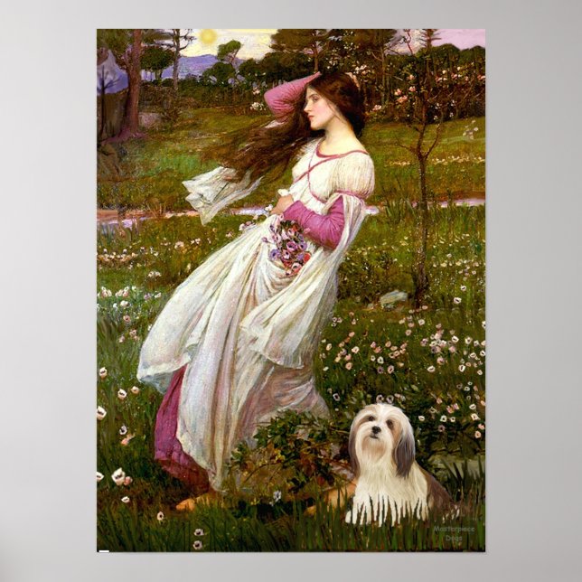 Poster Lhasa Apso 4 - Fleurs de vent (Devant)
