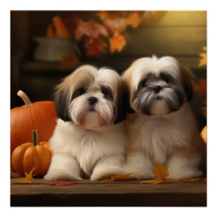 Poster Lhasa Apso Chiot Automne Citrouille de plaisir