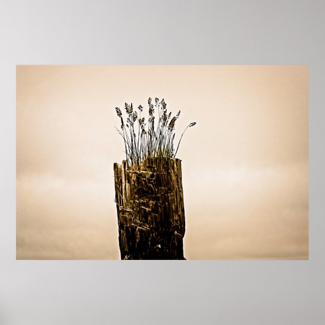 Poster l'herbe (Devant)