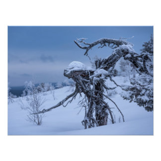 Poster L'hiver alien en bois