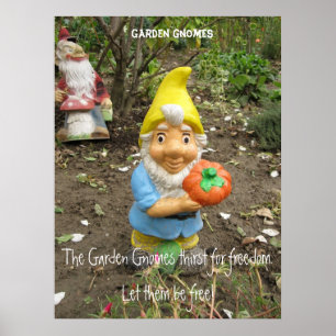 Poster Libérez les génomes du jardin