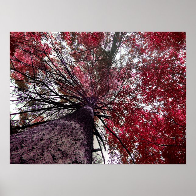 Poster Lien vers le haut (Devant)