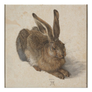 Poster Lièvre jeune (Durer 1502)