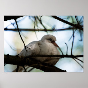 Poster Ligne principale