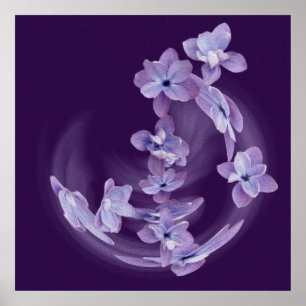 Poster Lilac en cercle
